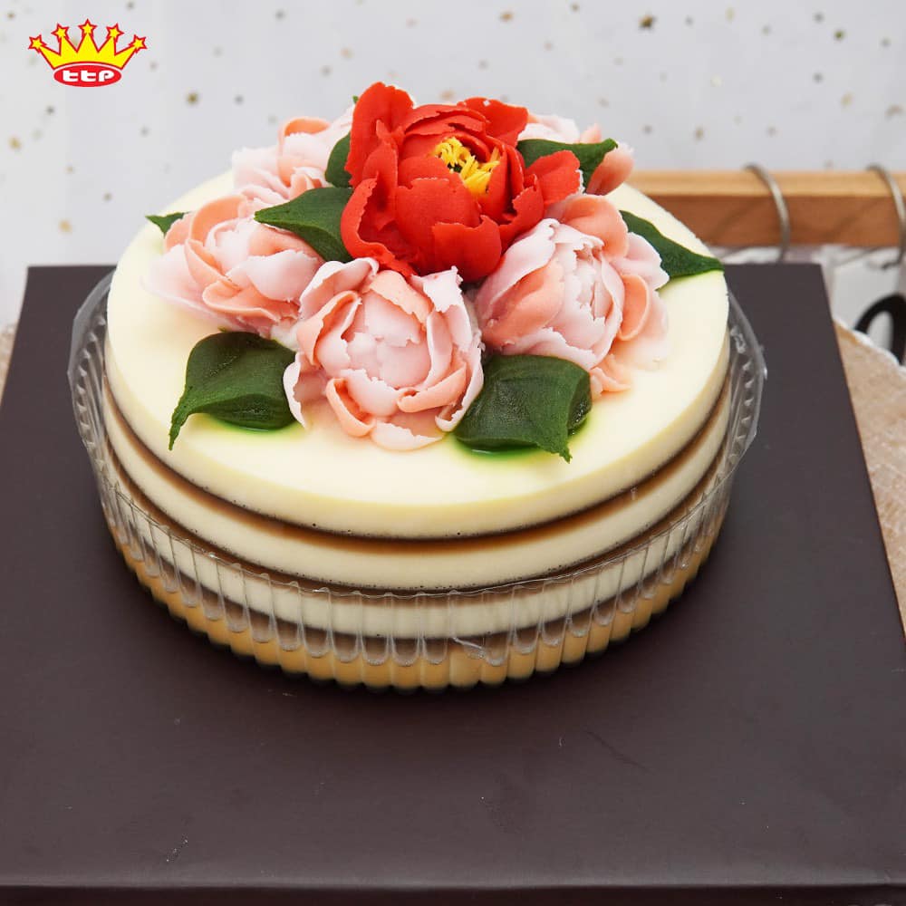 Bánh rau câu sinh nhật vị socola